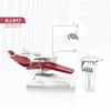 Dental Chiar Unit Supplies LED Lamp Manufacturer China Dental